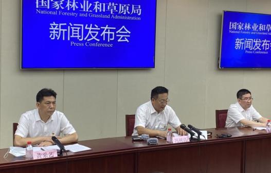 国家林草局通报12起破坏森林资源典型案件|国家林草局|国家林业和草原