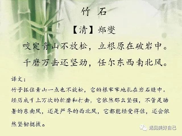 古诗词鉴赏竹石清郑燮