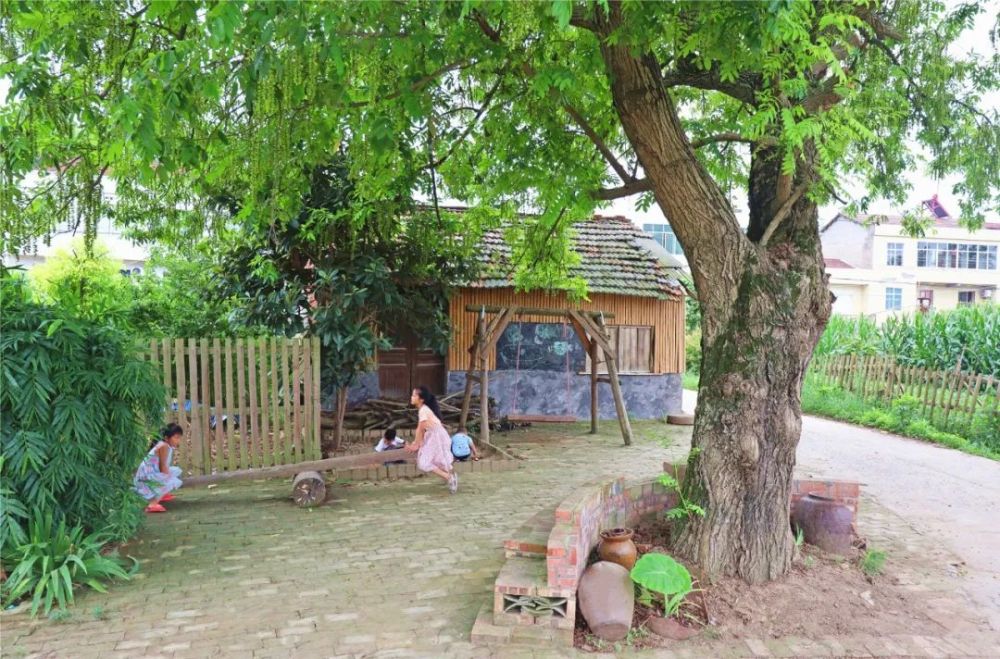 家户户门前小三园干净整洁只见道路两旁鲜花盛放记者走进拖市镇黄流村