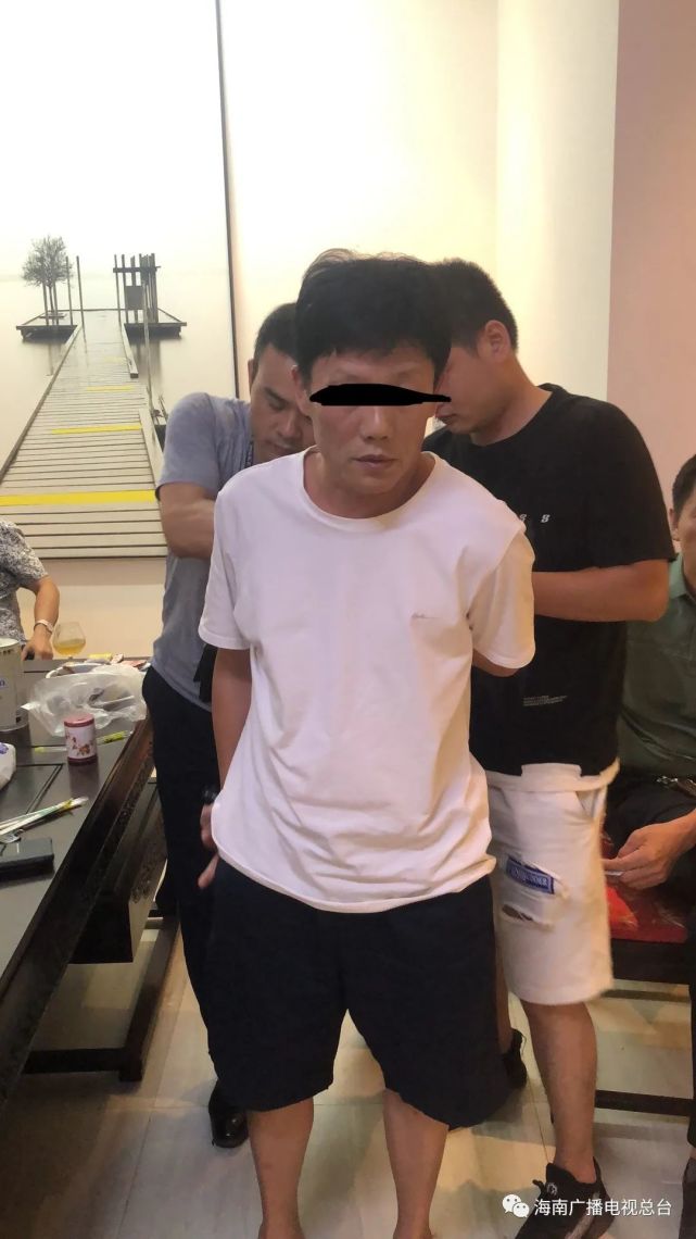 经初步侦查,自上世纪90年代开始,王世开混迹社会,纠集定安当地社会