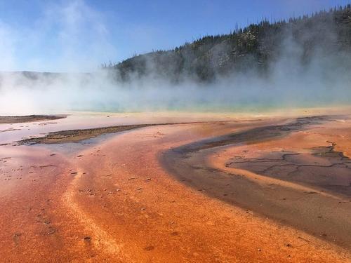 美国和加拿大的西海岸均不同程度的遭受到了极端热浪的突袭,美国的