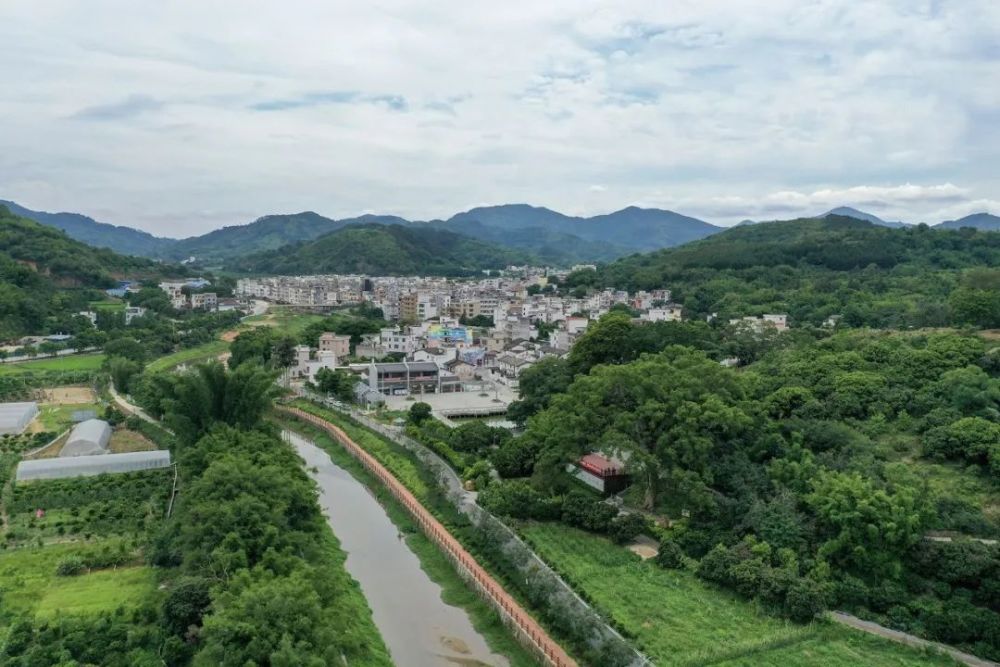 特色文旅品牌产品郁南县桂圩镇龙岗文旅特色村