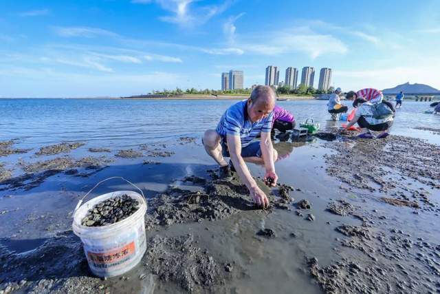 威海国际海水浴场赶海图片