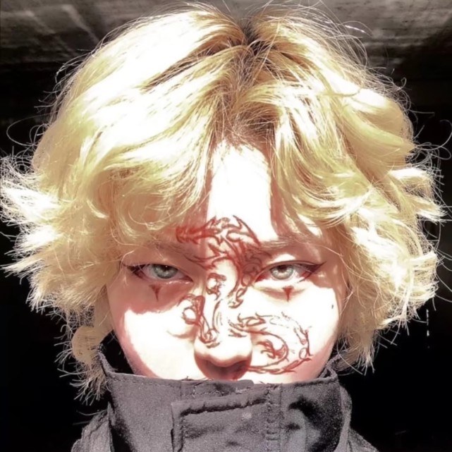 招蜂引蝶的大佬头像