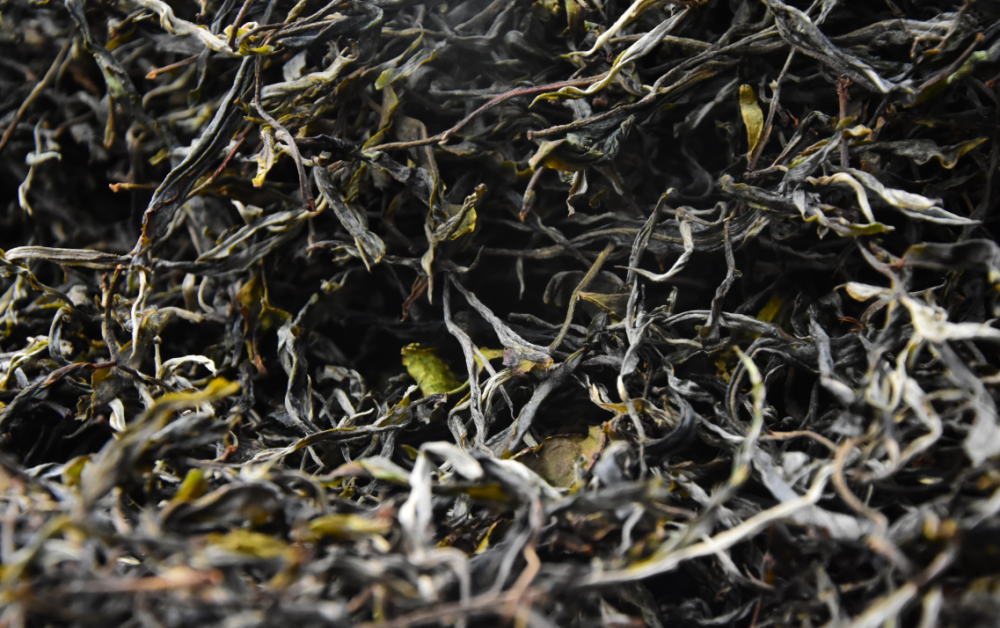 冰岛老寨古树茶价格飞涨!茶叶炒作,还能撑多久?