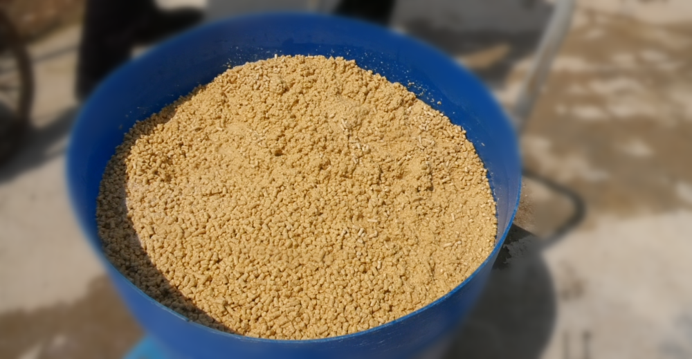 实探|尚博银蟾与饲料发酵实现轻松养猪