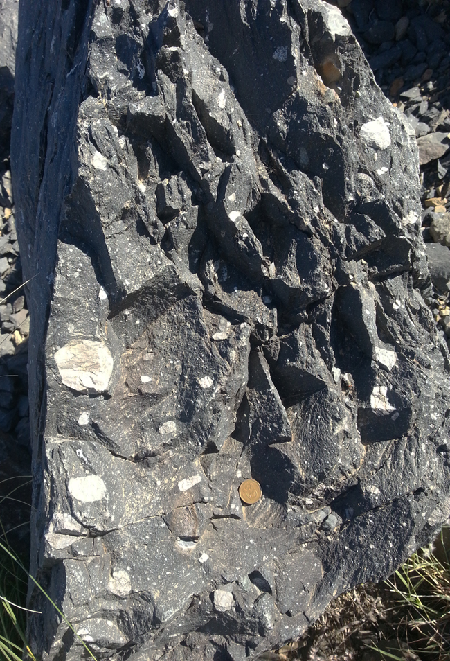 冰碛岩是冰川直接堆积而形成的,或是冰川和冰川海洋作用形成的岩石.