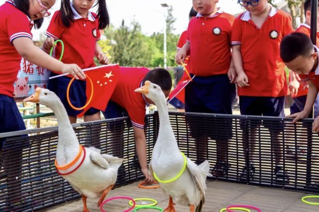 小望海農樂園