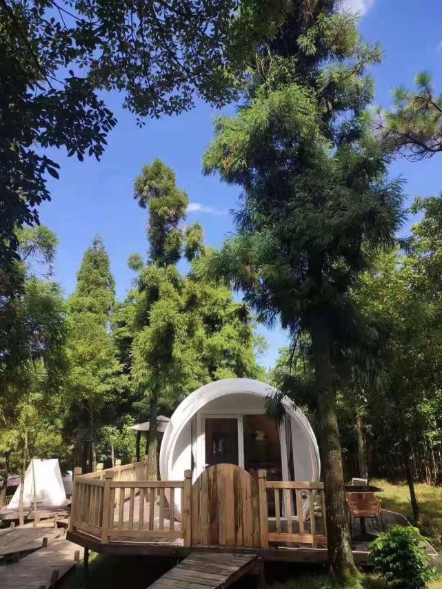 福州人爱吃的这种菜只在这里有|鼓岭|福州|炒蛋