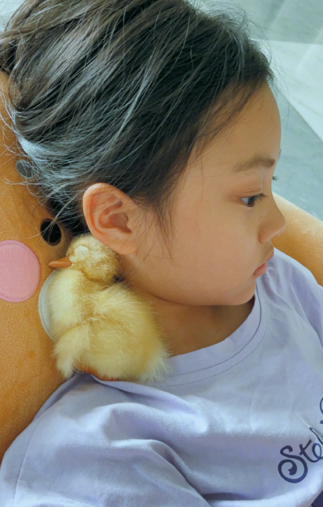 李小璐晒女儿甜馨近照侧颜好似贾乃亮长腿出镜超吸睛