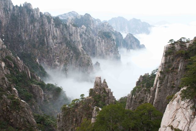 東南西北天五大雲海最美在西海黃山雲海最常出現地點揭秘