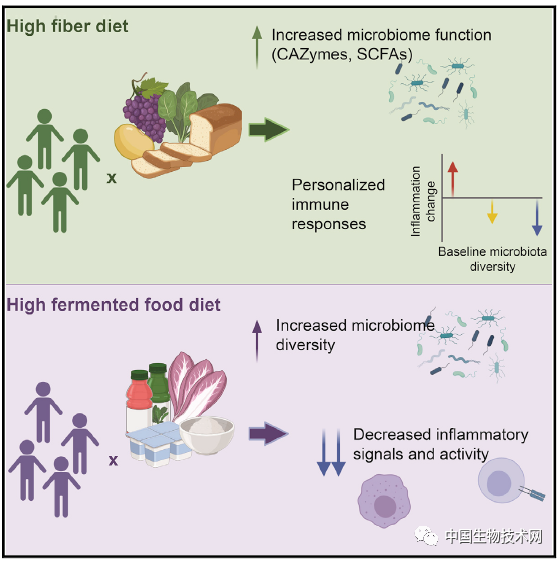 Cell重磅 斯坦福团队开出基于发酵食品的 保健处方 全网搜