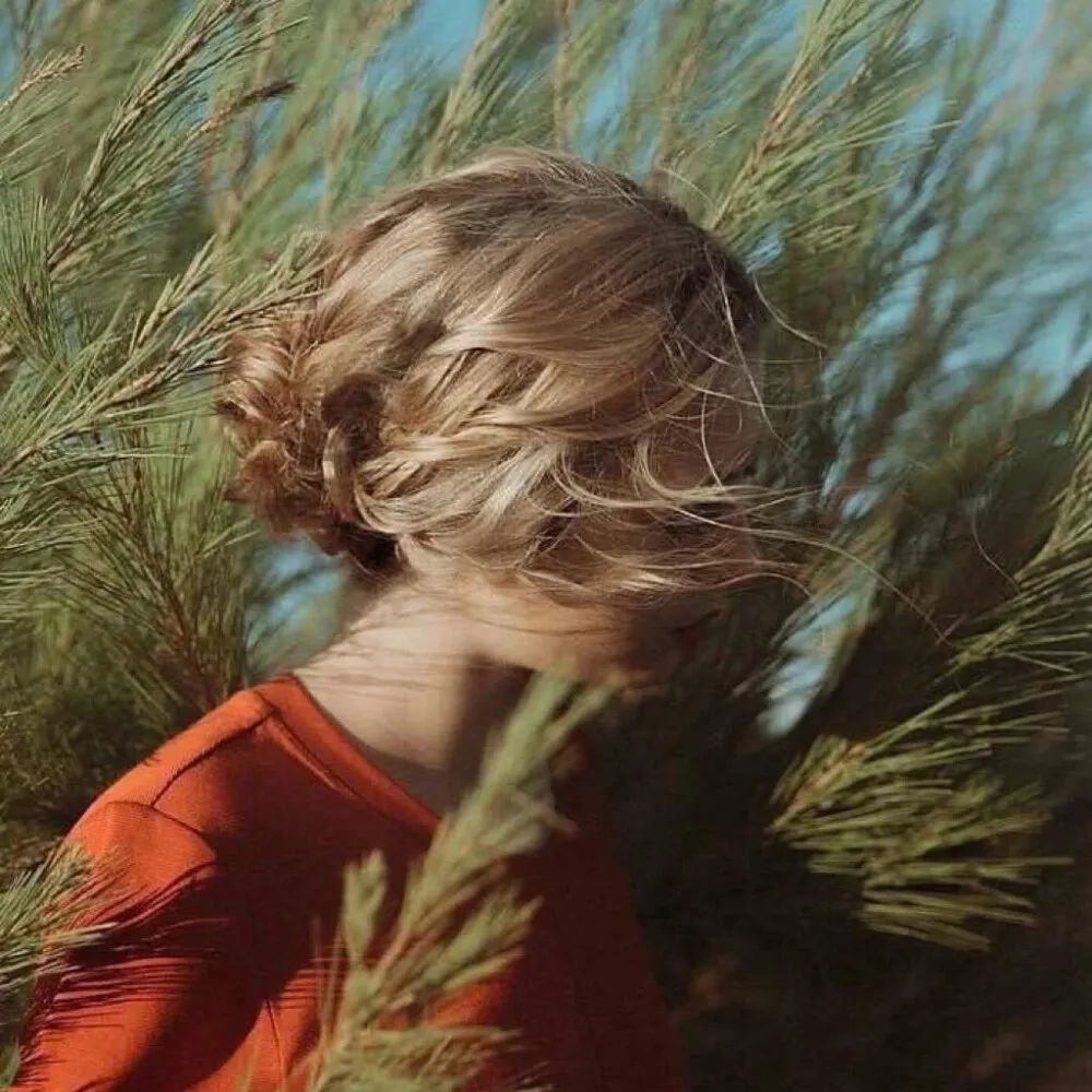 欧美头像丨花与夏天美妙人间