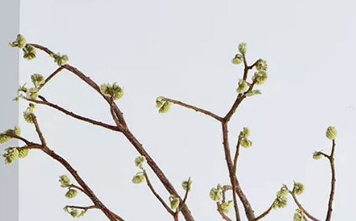 21年7月白羊座运势完整版7月幸运数字 腾讯新闻