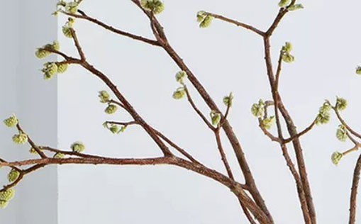 21年7月白羊座运势完整版7月幸运数字 腾讯新闻