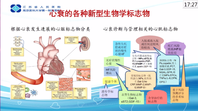 三大生物标志物图片