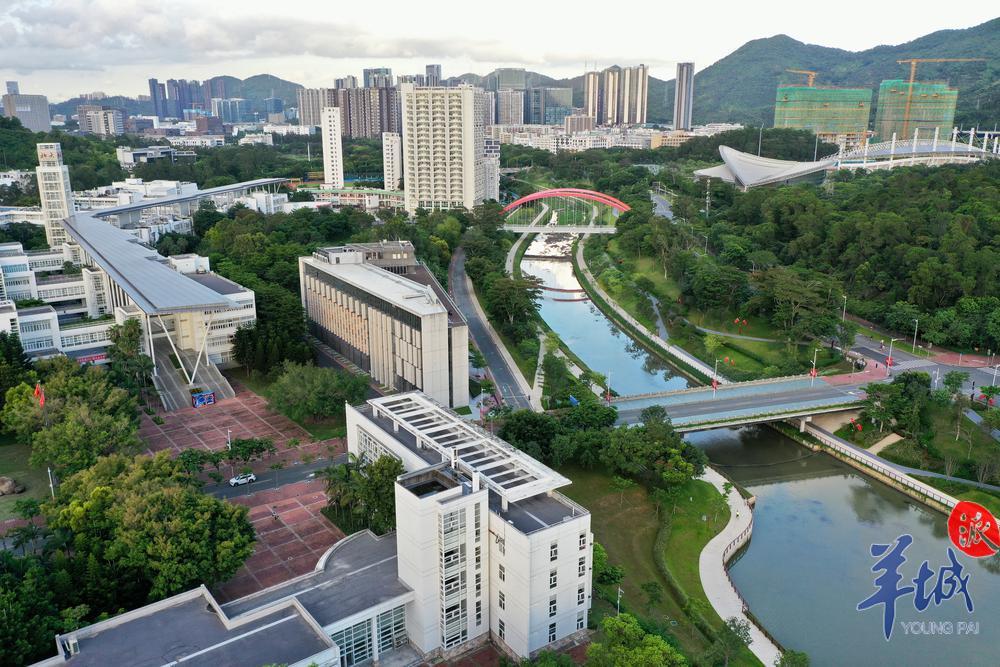 深圳西丽大学城图片