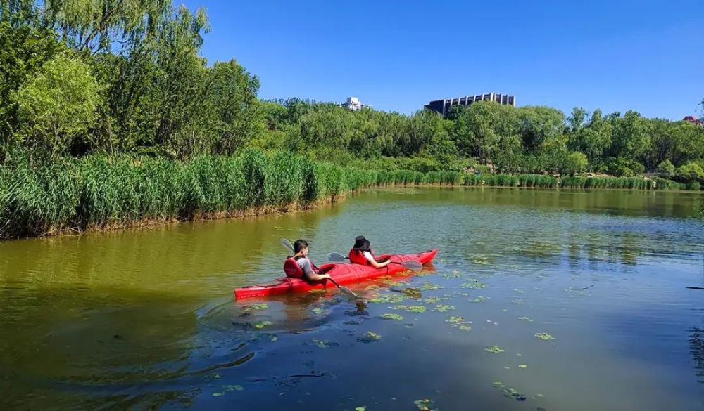 还有水中划船的,也是奥森里一项很不错的娱乐选择.