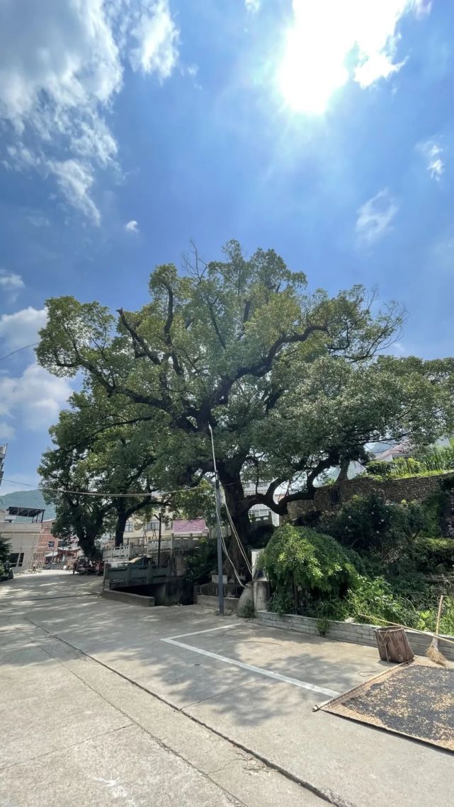 东阳这个"网红"打卡点——"长城",玻璃天桥将于9月底完工