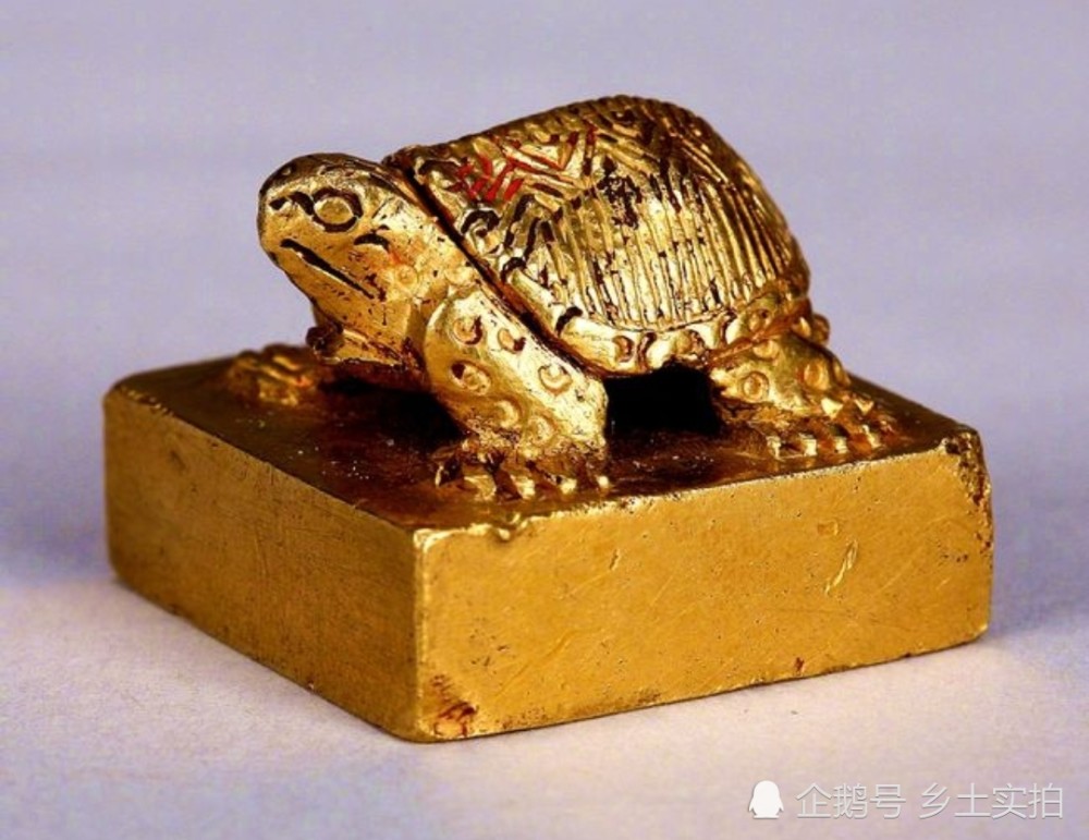 重庆农民野外捡到金乌龟,看看他是怎么处理的?