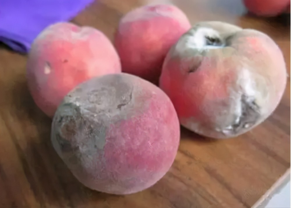桃子越烂越"值钱"!放到水里泡一泡,想不到这么厉害,望你重视