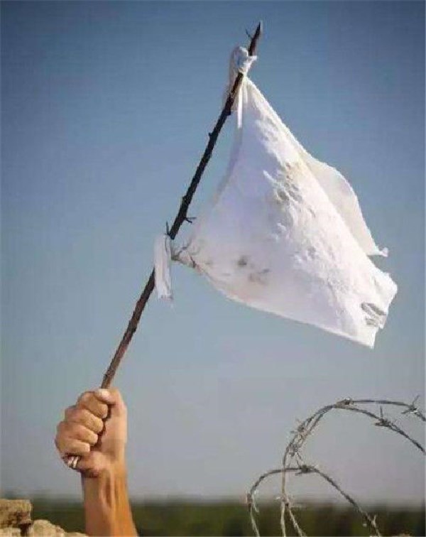 世界历史上曾唯一将白旗当国旗的国家，今已成联合国五常之一