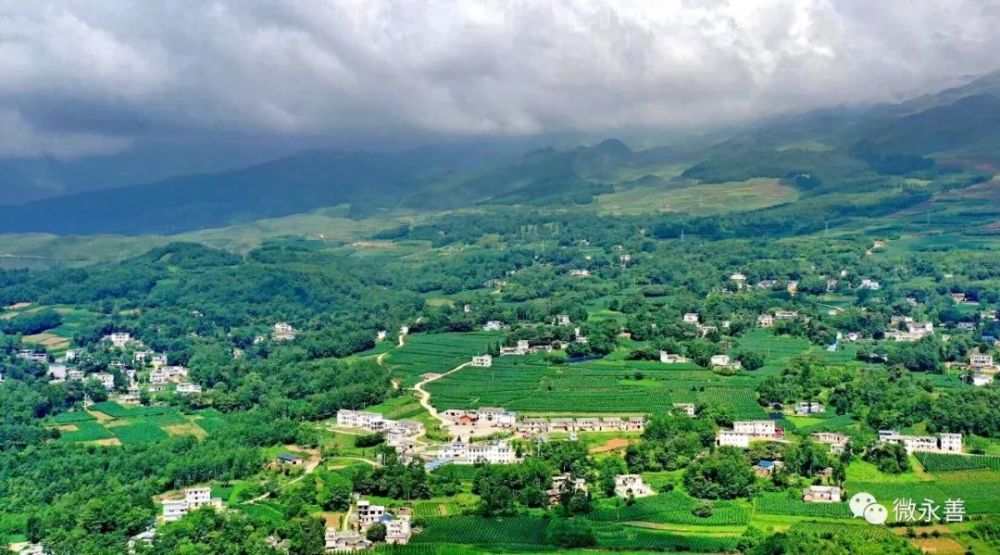 盛夏时节,务基镇锦屏村绿树成荫,草木葱郁,沿硬化公路蜿蜒而上,依山而