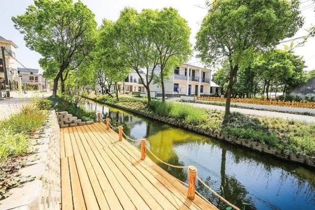 港西镇打造崇明乡镇首张有声导览手绘地图