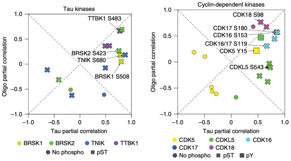 自然 子刊 揭示了ad病的异常磷酸化蛋白网络 有望成为治疗的新靶点 全网搜