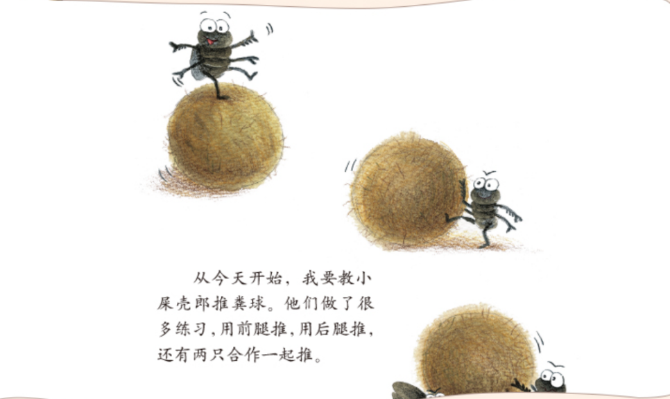 和孩子一起探索虫虫的世界)(点击下方图片,屎壳郎为什么爱推粪球?