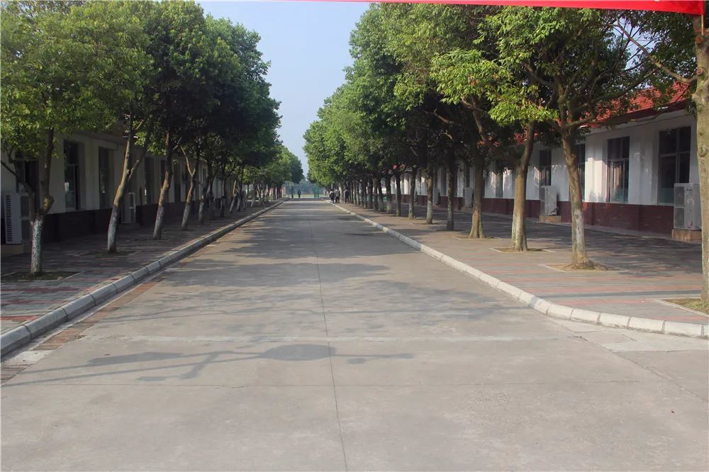 雅安市强项双语中学倾情倾力教好每一位学生