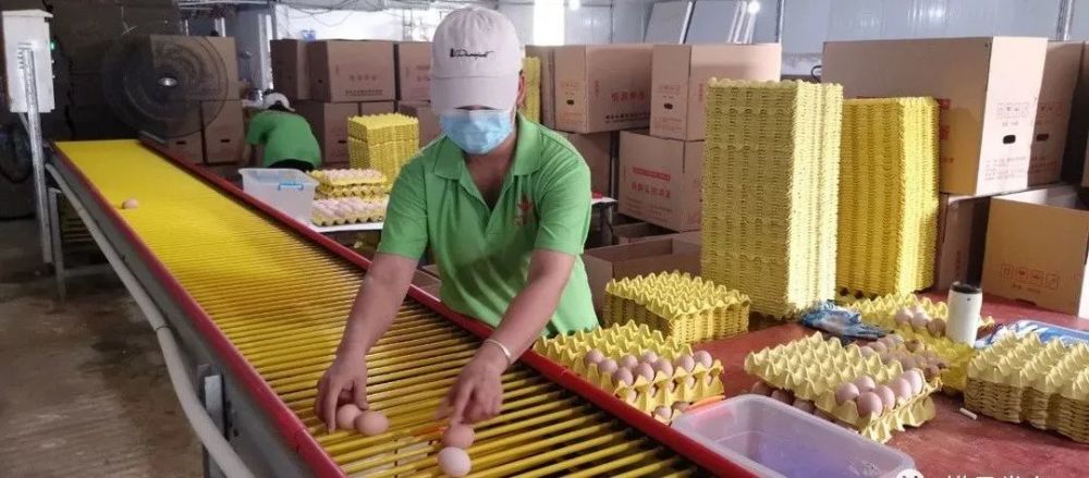 党史学习教育丨主播说党史——红旗插上镇南关 标志广西解放