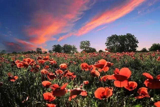 十二星座每日星座运势查询7月14日 红榜 腾讯新闻