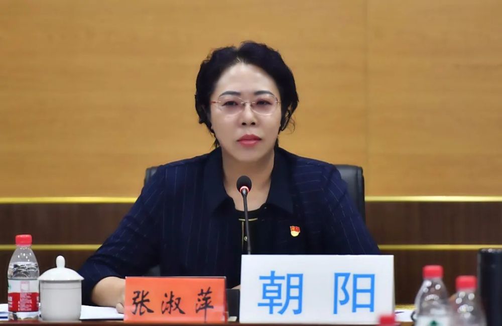 张淑萍向省防汛视频会商会议汇报朝阳防汛工作 安排部署全市下步防汛