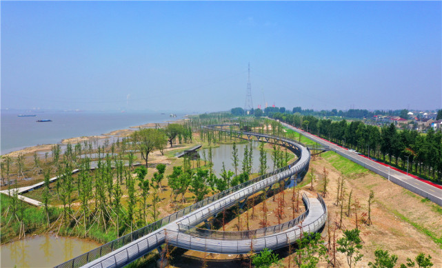 江苏靖江守护长江构建九港水美百里岸绿生态格局