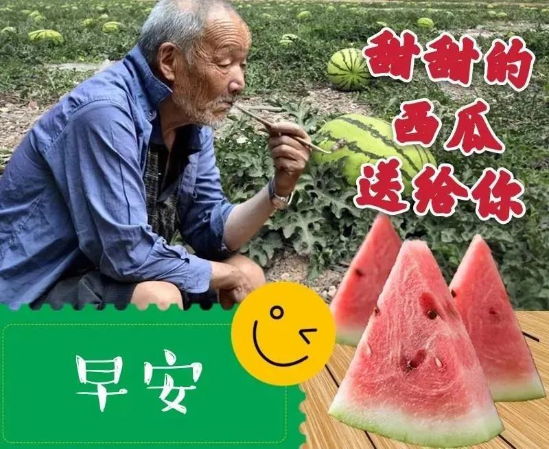 2021年7月28日星期三漂亮早上好问候动态表情图片带字 周三最美早安