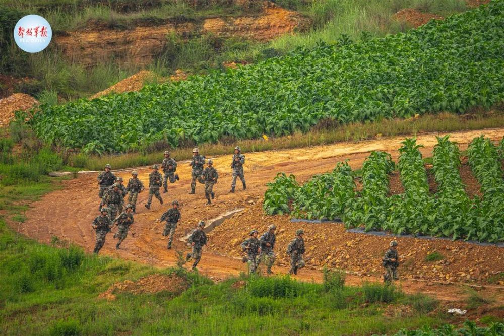 多图丨驻训一线,侦察尖兵火热开练