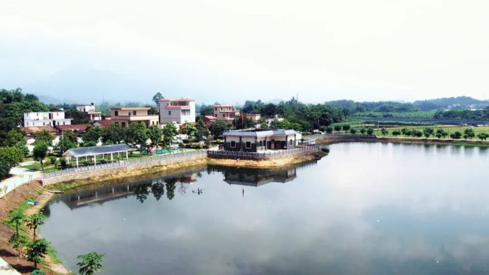 80岁村民原创白话诗纪录猛虎村今夕巨变