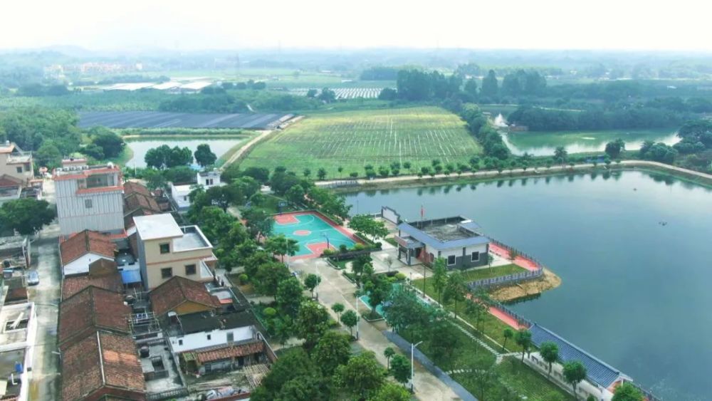 80岁村民原创白话诗纪录猛虎村今夕巨变