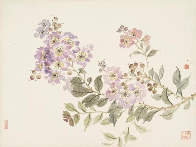 杜牧的这首《紫薇花》首句"晓迎秋露一枝新"先点出紫薇开花的季节时令