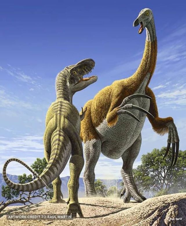生活在白垩纪晚期的两类著名的巨型兽脚类恐龙,勇士特暴龙tarbosaurus