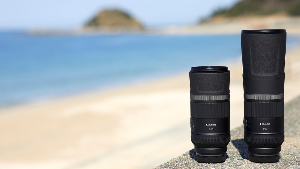 打鸟不用倾家荡产佳能rf600mm定焦镜头最低降至4499元