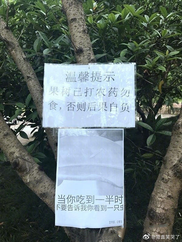 为防学生偷摘果子学生会在校园内的果树上张贴出这样的标语