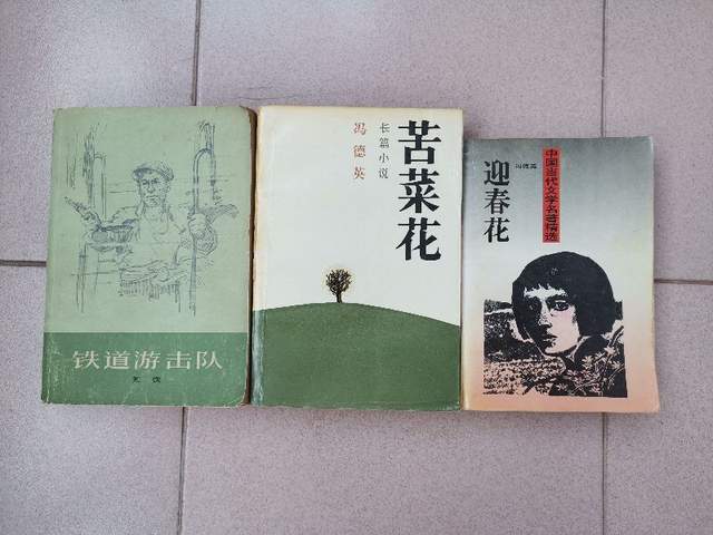静心下来,读完了山东作家冯德英的长篇小说《苦菜花》,正在读《迎春花
