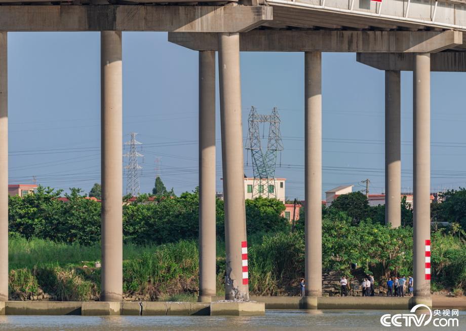 廣州番禺北斗大橋橋墩被撞開裂 大橋封閉