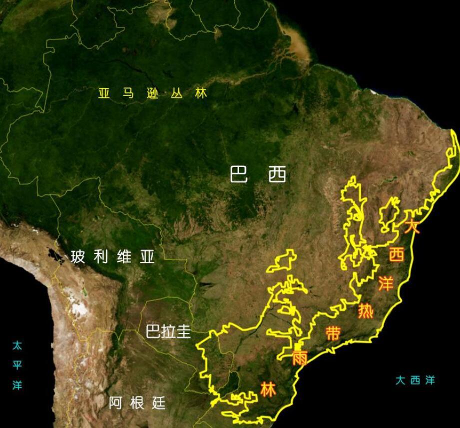 地球禁区:亚马逊丛林有多可怕,为什么?