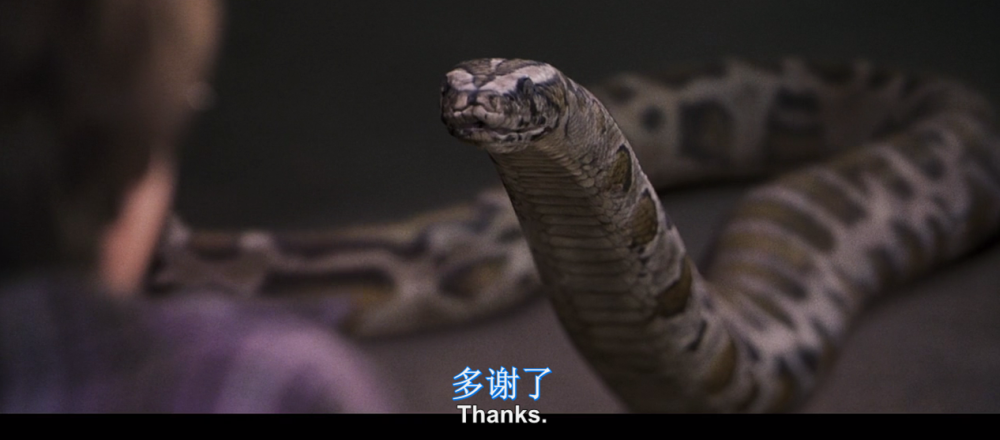 但电影中的这一段,哈利说的不是蛇佬腔,而蛇说的也不是嘶嘶的蛇语.