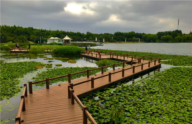 上海市公園城市和環城生態公園帶建設推進情況新聞發佈會上,閔行區副