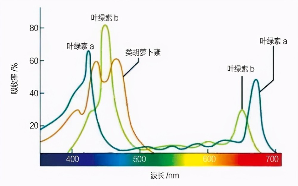 科威特73度高温烤化车壳,那100度开水浇车为何不化?