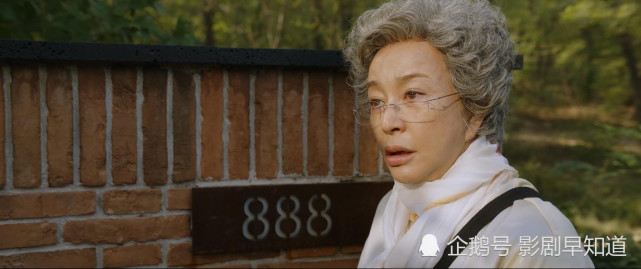 于波,张一山,朱一龙等知名演员友情出演,猕猴桃老总龚宇本色出演自己